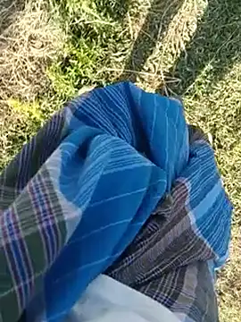 dolphiinn Webcam-Show