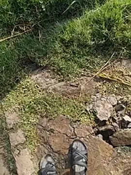dolphiinnのウェブカメラショー