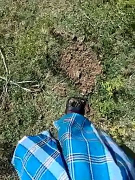 dolphiinn Шоу с уебкамера