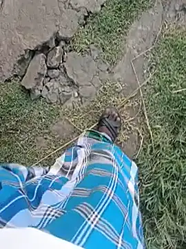 عرض كام dolphiinn