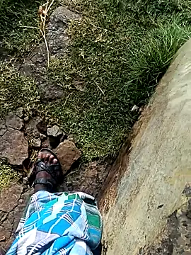 dolphiinnn Webbikameraesitys