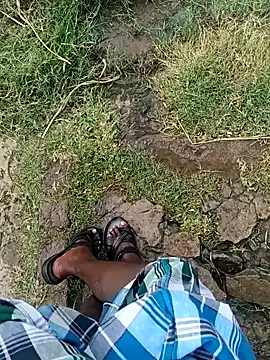 dolphiinn Webcam show