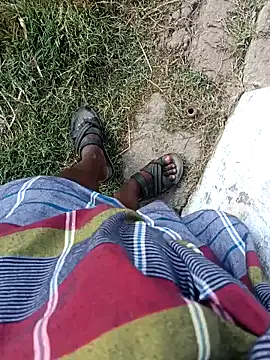 dolphiinn ওয়েবক্যাম শো