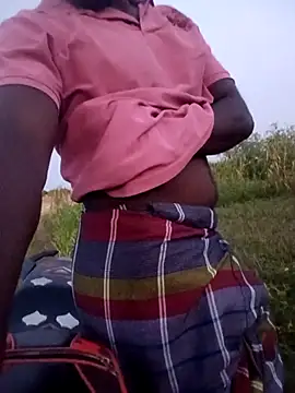 dolphiinn Pertunjukan Webcam