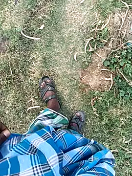 dolphiinn Show Webcam