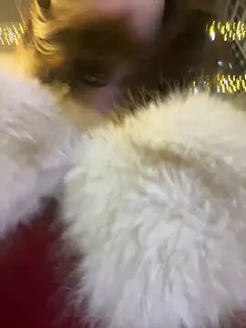 littleqiu's Webcam Show