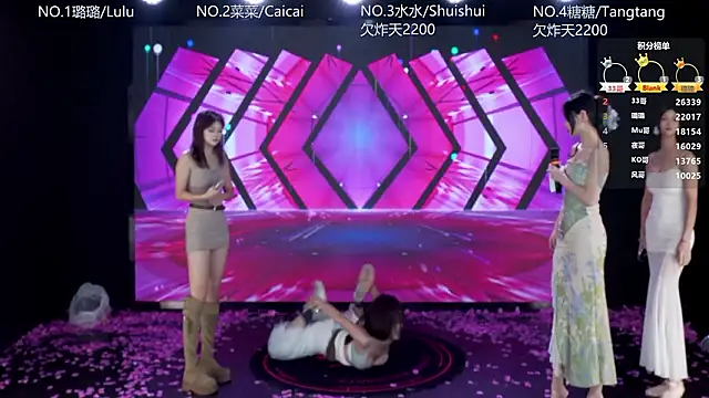 SK-001's Webcam Show