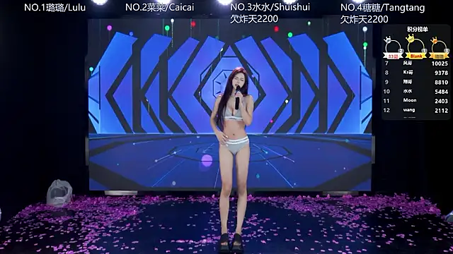 SK-001's Webcam Show