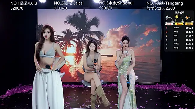 SK-001's Webcam Show