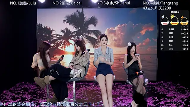 Show Webcam de SK-001