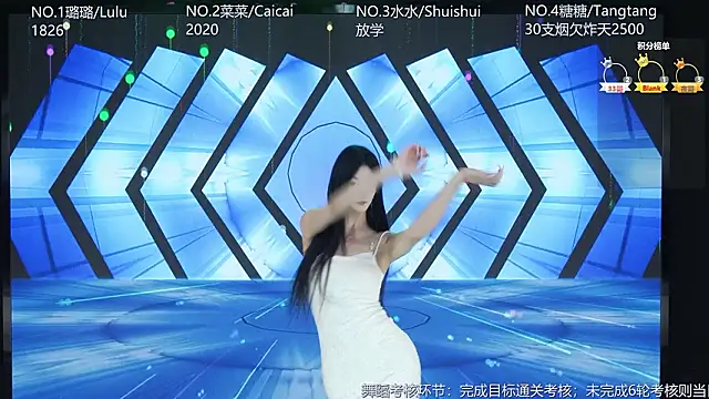 SK-001's Webcam Show