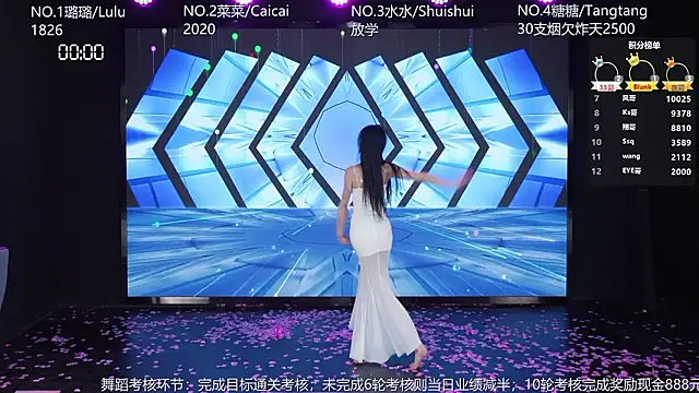 SK-001's Webcam Show