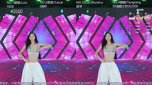 Show de webcam de SK-001