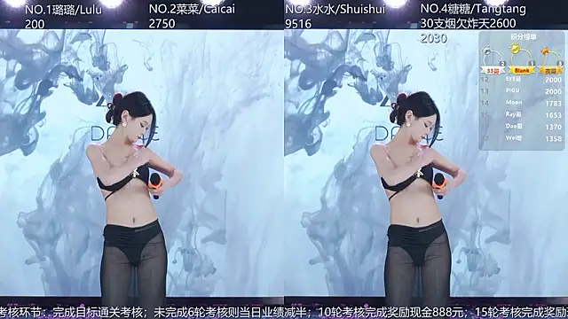 SK-001 webkamerás műsora