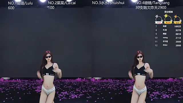 SK-001 Show in webcam