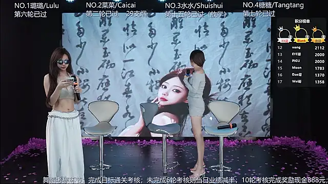 SK-001's Webcam Show