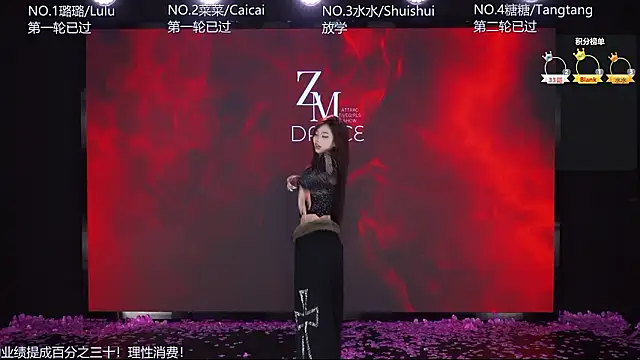 SK-001's Webcam Show