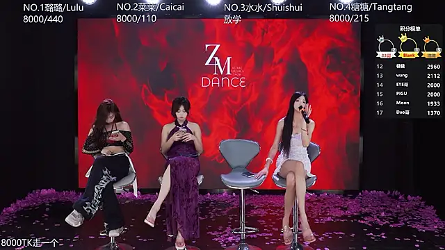 Webkamerová show SK-001