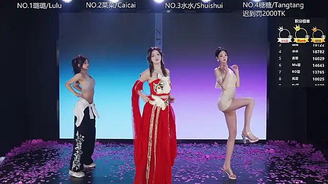 SK-001's Webcam Show