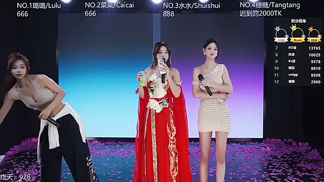 SK-001 网络视讯表演