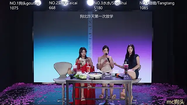 Webkamerová show SK-001