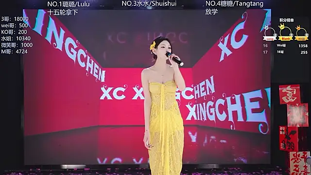 SK-001's Webcam Show