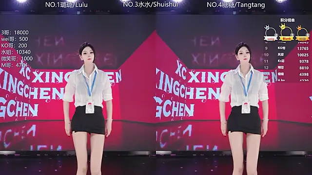 Show de webcam de SK-001