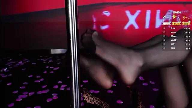 SK-001 ওয়েবক্যাম শো