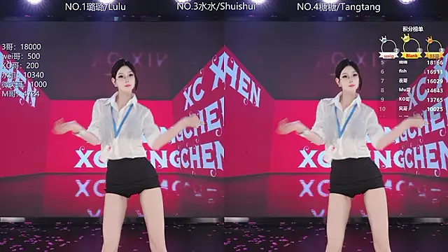 SK-001n Webbikameraesitys