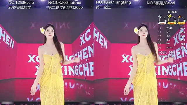 SK-001 webkamerás műsora