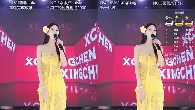 Show modela SK-001 na web-kameri