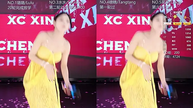 Show modela SK-001 na web-kameri