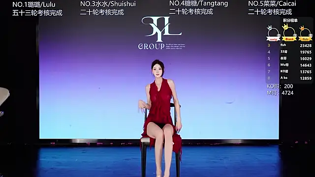 SK-001 – webcam-show