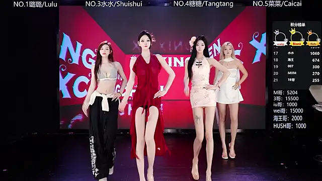 SK-001のウェブカメラショー