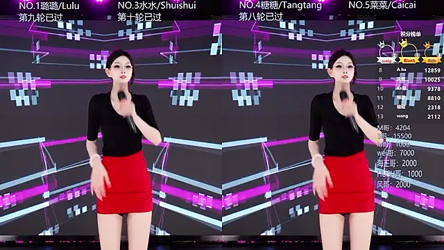 Webkamerová show SK-001