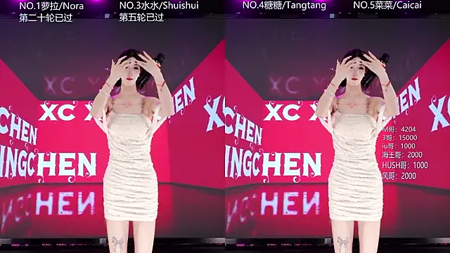 Show de webcam de SK-001