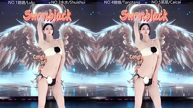 عرض كام SK-001