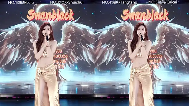 Show webcam de SK-001