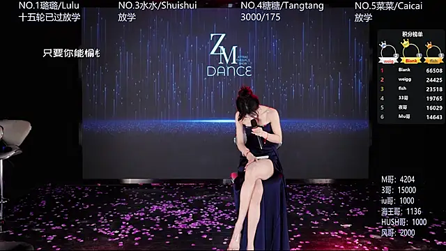 SK-001's Webcam Show