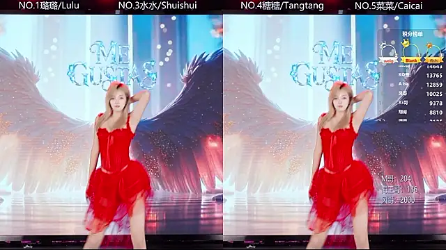 Show de webcam de SK-001