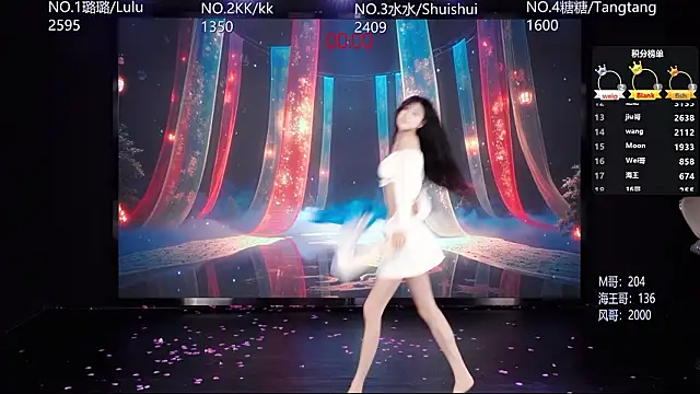 SK-001's Webcam Show