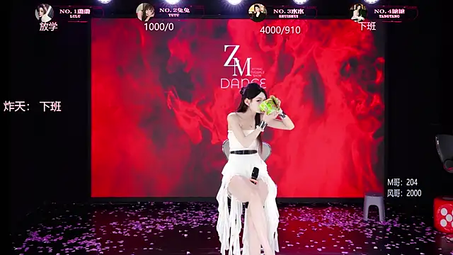 Show modela SK-001 na web-kameri