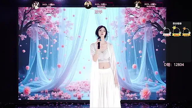 SK-001n Webbikameraesitys