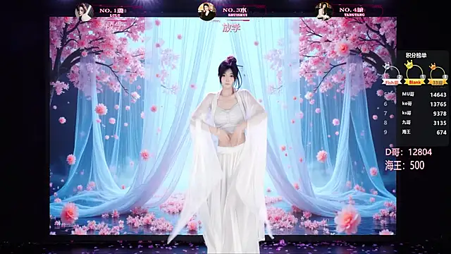 SK-001n Webbikameraesitys