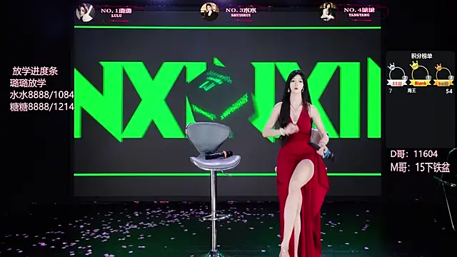 SK-001 网络视讯表演