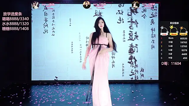 SK-001 webkamerás műsora