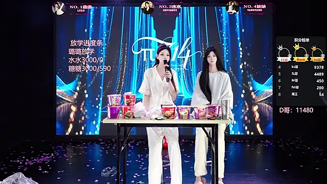 Show Webcam de SK-001