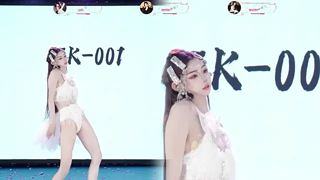 SK-001 webcam show