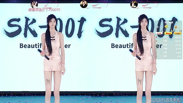 SK-001 Webcamshow