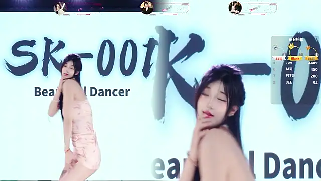 SK-001 网络视讯表演